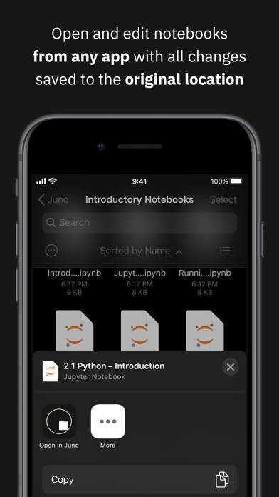 Juno – Python and Jupyter App screenshot #5