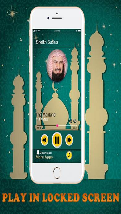 Sudais Full Quran MP3 Offline App skärmdump #3