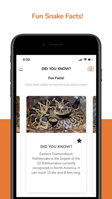SnakeSnap! App screenshot