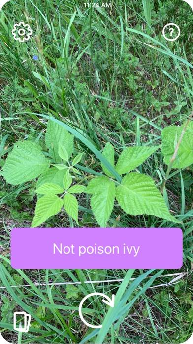 Poison Ivy App screenshot #2