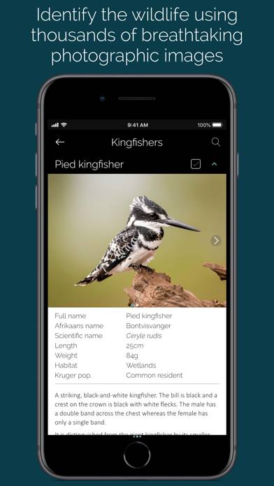 KrugerExplorer App skärmdump #5