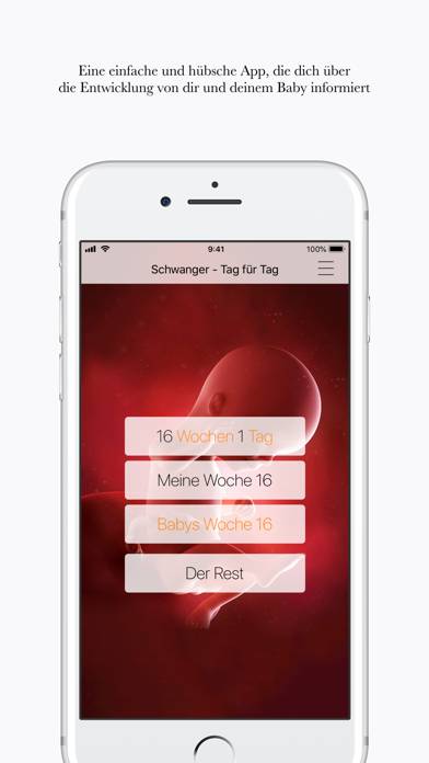 Schwanger App-Screenshot #1