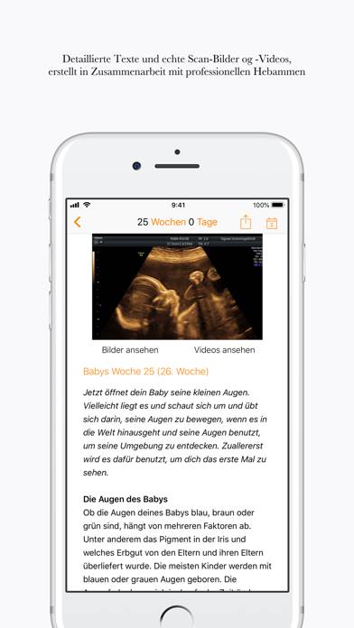 Schwanger App-Screenshot #2