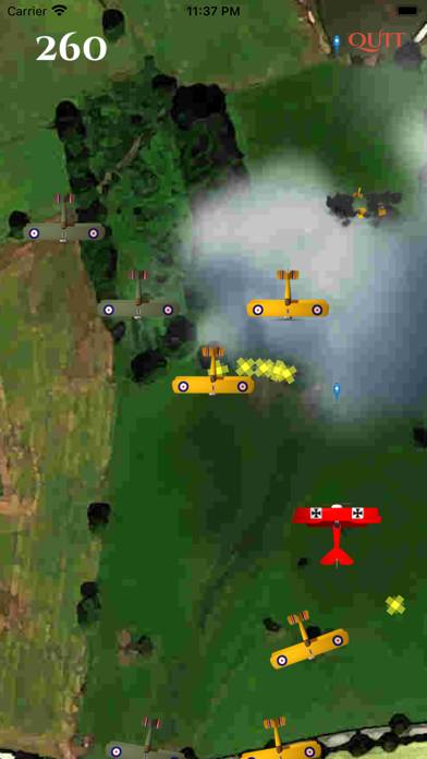 Red Baron 1917 game screenshot