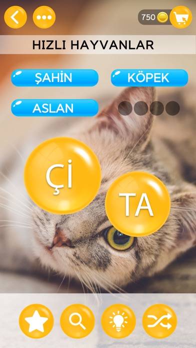 Kelime İncileri: Kelime Oyunu App screenshot #6