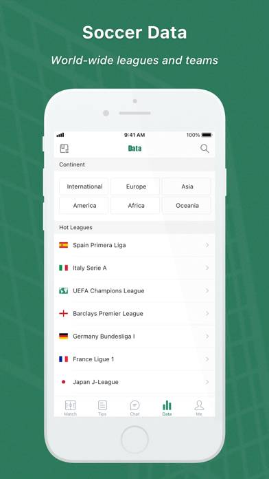 Scoremer Скриншот приложения