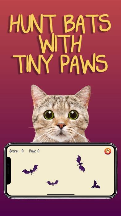Cat Games App screenshot #5