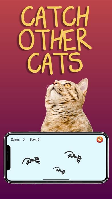Cat Games Captura de pantalla de la aplicación #6