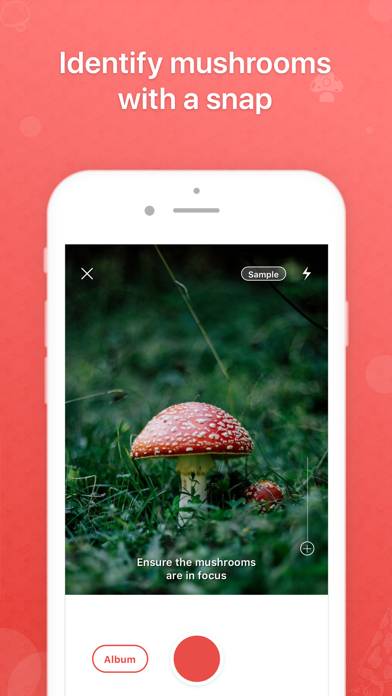 Picture Mushroom App screenshot #1