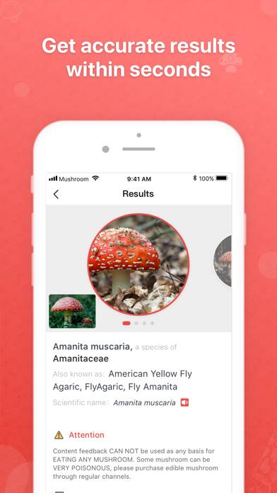 Picture Mushroom App-Screenshot #2