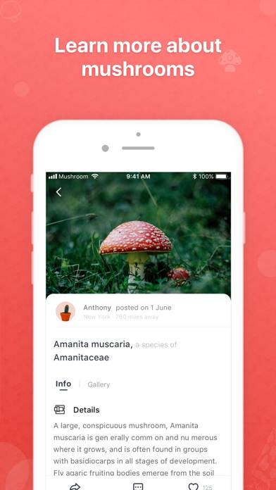 Picture Mushroom App screenshot #3