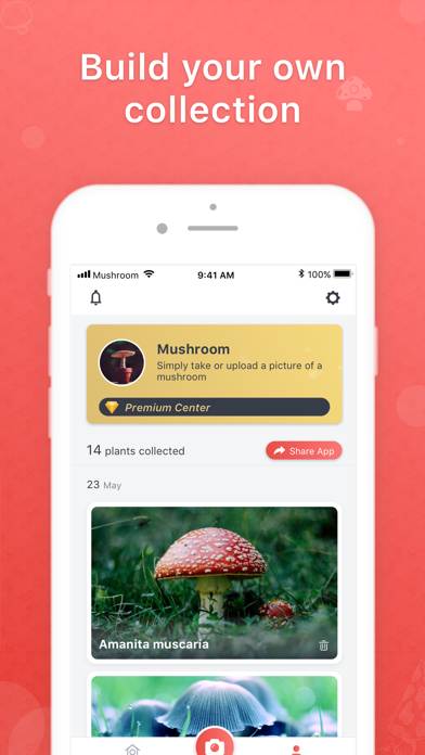 Picture Mushroom App screenshot #4