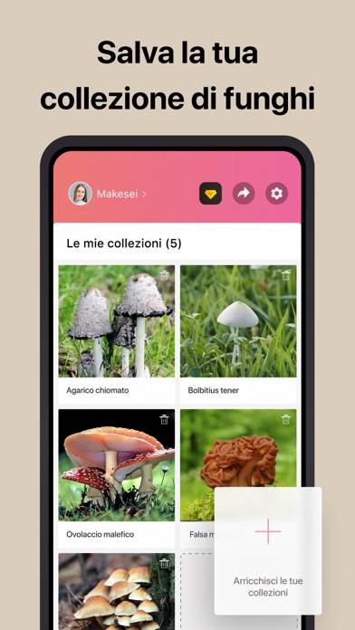 Picture Mushroom Schermata dell'app