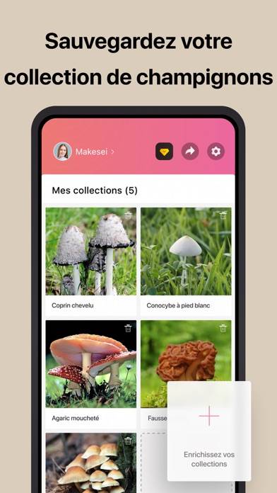 Picture Mushroom Capture d'écran de l'application