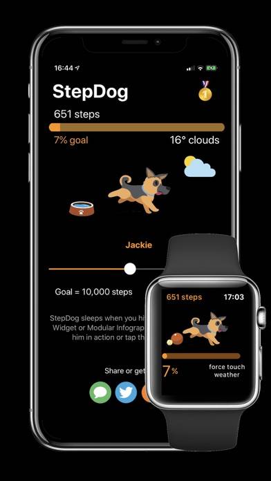 StepDog App preview #3