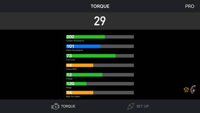 Torque OBD 2 & Car Pro App skärmdump #4