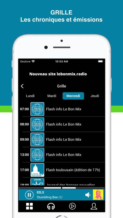 Lebonmix Radio Capture d'écran de l'application #6