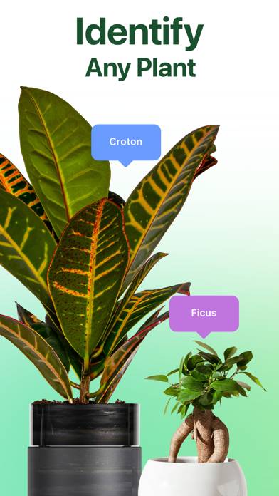 NatureID: Plant Identification Schermata dell'app #1