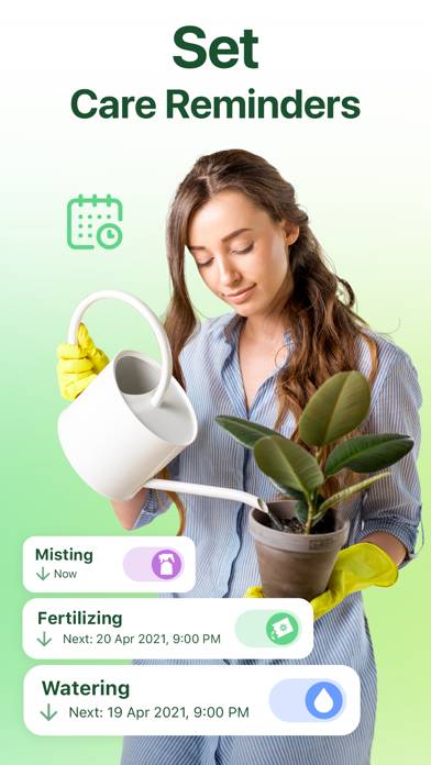 NatureID: Plant Identification App screenshot #2