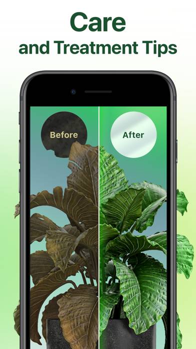 NatureID: Plant Identification Schermata dell'app #3