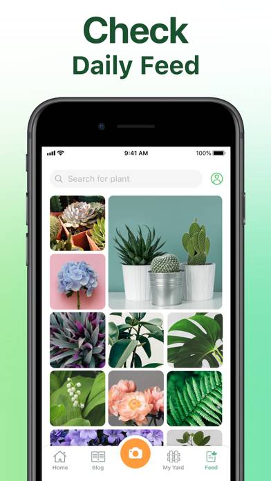 NatureID: Plant Identification Schermata dell'app #5