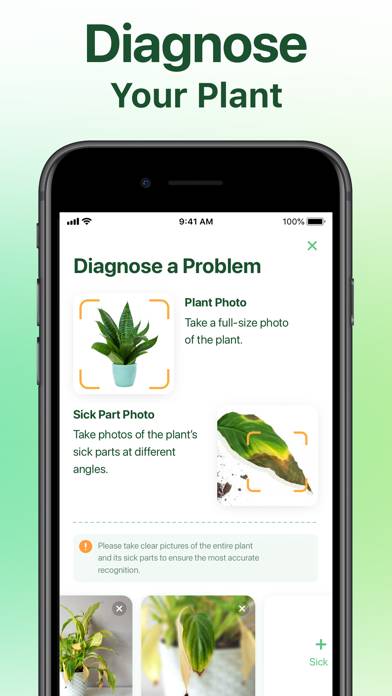 NatureID: Plant Identification App screenshot #6
