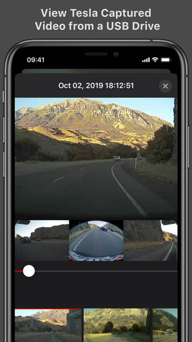 Cam Viewer for Tesla Captura de pantalla de la aplicación #1