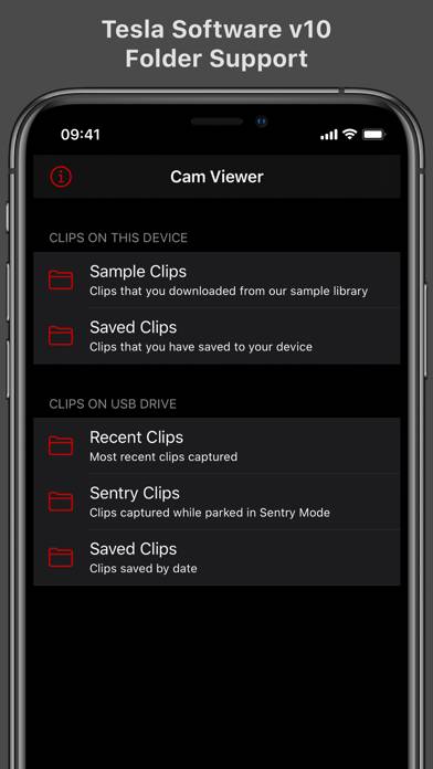 Cam Viewer for Tesla Captura de pantalla de la aplicación #2