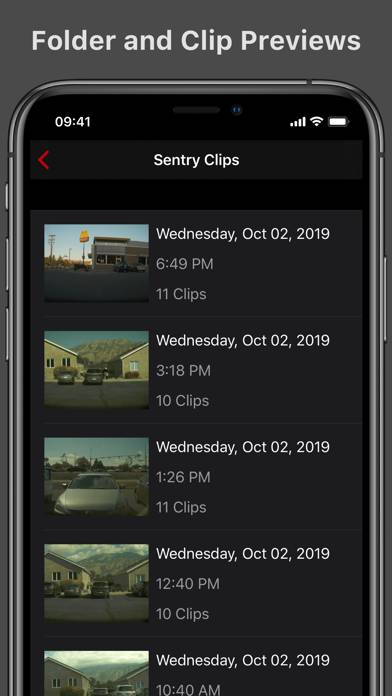Cam Viewer for Tesla Captura de pantalla de la aplicación #4