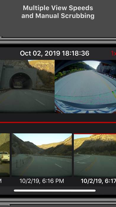 Cam Viewer for Tesla Captura de pantalla de la aplicación #6