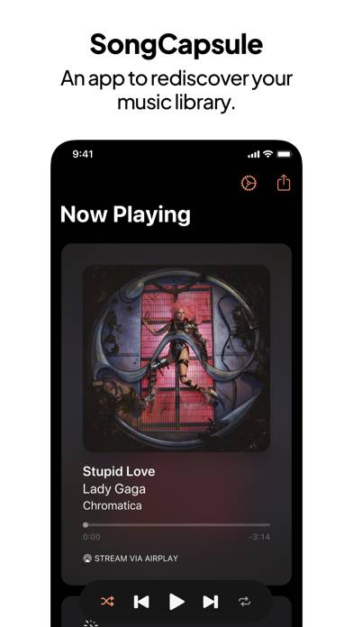 SongCapsule App-Screenshot #1