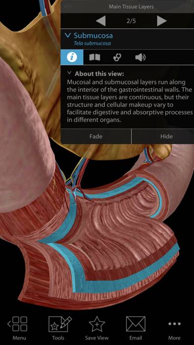 Physiology & Pathology Schermata dell'app #6