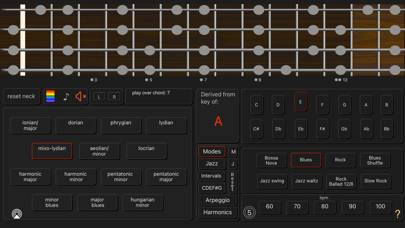 Bass Guitar Colour Scales Captura de pantalla de la aplicación #3