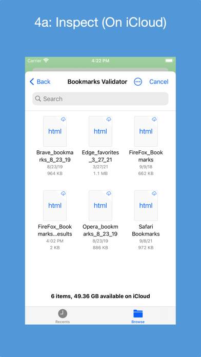 Bookmarks Validator Captura de pantalla de la aplicación