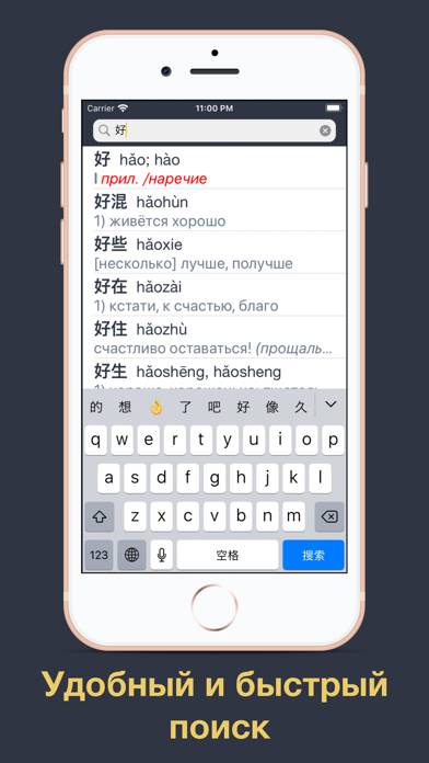 Китайский язык с Лаовай Скриншот приложения #1