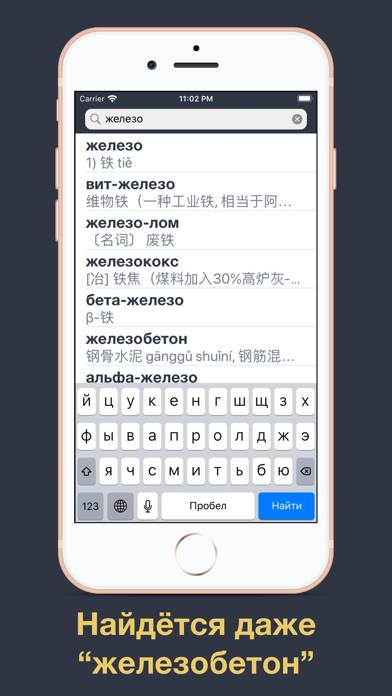 Китайский язык с Лаовай Скриншот приложения #4