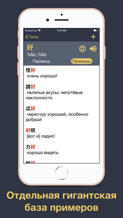 Китайский язык с Лаовай App screenshot #5