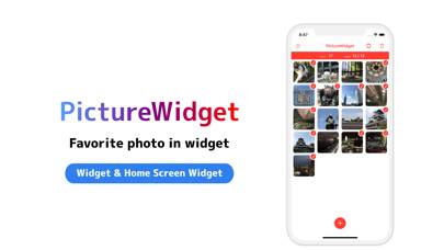 PictureWidget App screenshot #1