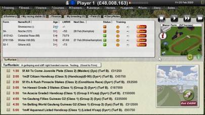 Starters Orders 7 Horse Racing App screenshot #6