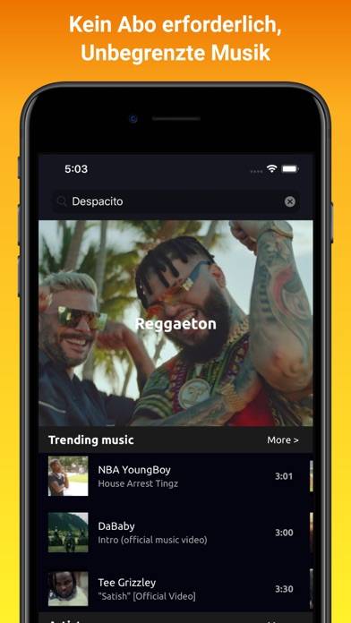 Online Musik & Video Player App-Screenshot