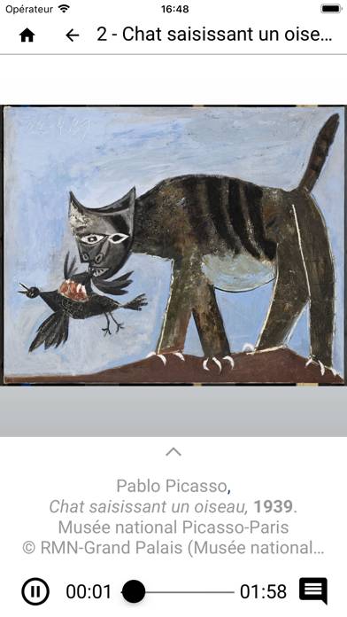 Picasso. 1939-1945 Capture d'écran de l'application #5