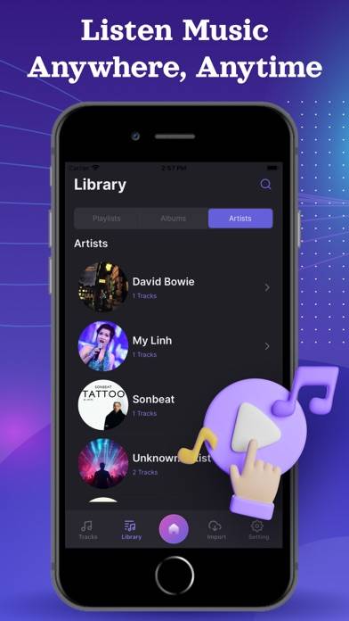 Music Player Offline App skärmdump