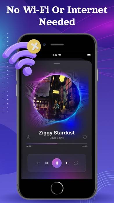 Music Player Offline App skärmdump