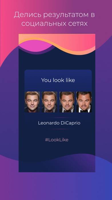 Look Like You? Celebrity! App screenshot #3
