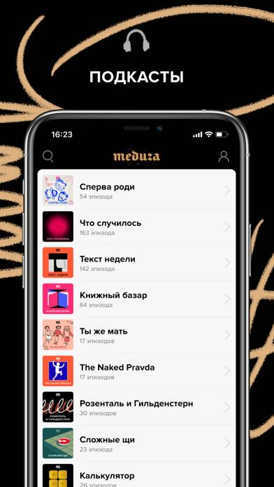 Meduza App-Screenshot #2