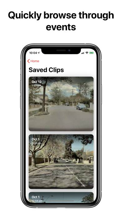 Dash View for Tesla Cars Capture d'écran de l'application #2