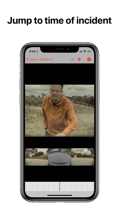 Dash View for Tesla Cars Capture d'écran de l'application #4