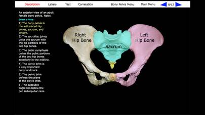 Human Skeleton: Gross Anatomy App screenshot #6