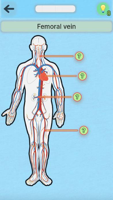 Anatomy Pro App skärmdump #5