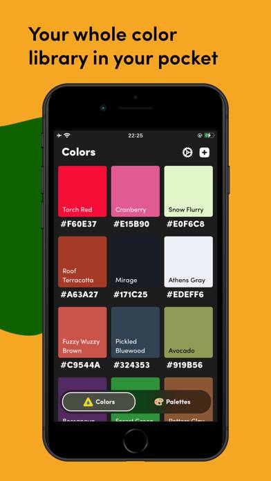 Litur - Color Picker captura de pantalla